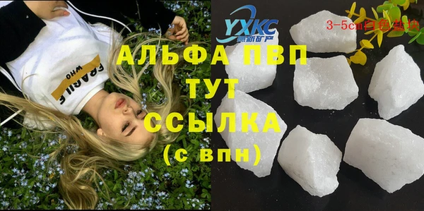 шишки Баксан