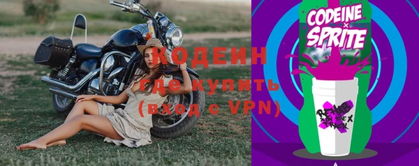 шишки Баксан