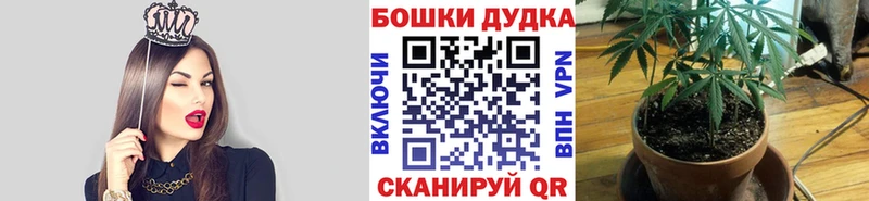 Канабис гибрид  Северо-Курильск 